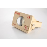 50W LED隧道燈 哪里生產(chǎn)隧道臺(tái)車(chē)防爆燈投光燈祥瑞照明
